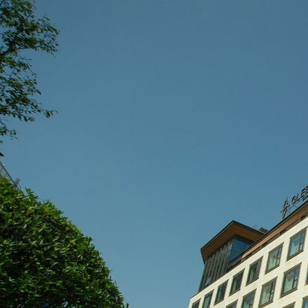 墻紙品牌vi設計公司案例作品