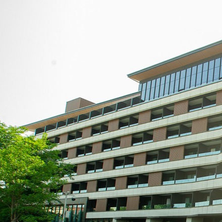 粽子品牌vi設(shè)計公司案例作品