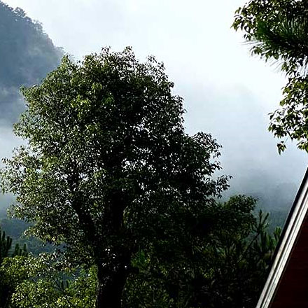 戶外用品品牌vi設(shè)計(jì)公司案例作品