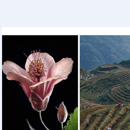 羽絨服哪個品牌vi設(shè)計公司案例作品質(zhì)量好