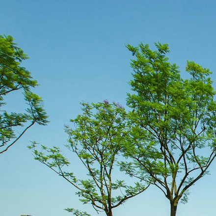 上海VI設計公司作品案例展示