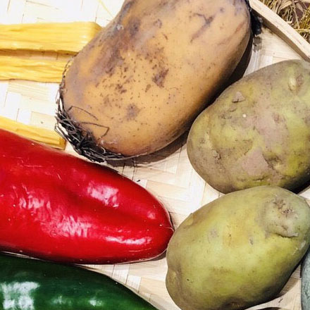 上海VI設計公司作品案例展示