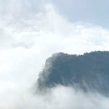 上海VI設計公司作品案例展示