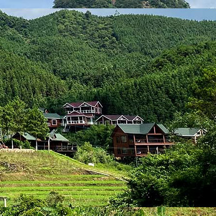 上海VI設計公司作品案例展示